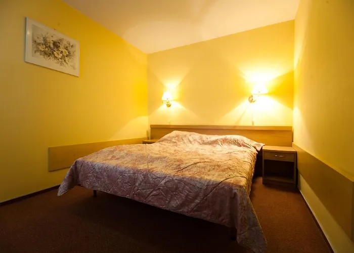 马林诺夫斯基城市旅舍 格利维采